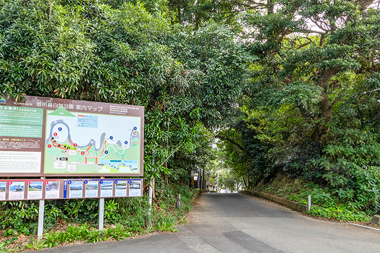 番所鼻自然公園を散策