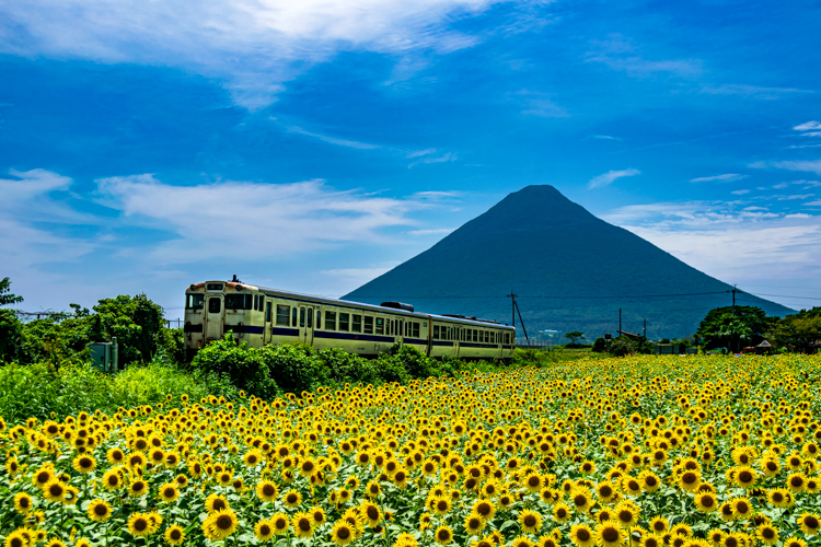 開聞岳をバックに記念撮影！JR日本最南端西大山駅訪問コースの画像